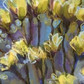 🔴#LRV_33,Fleurs au soleil 2014, ÖMiserany© #LRV_33,Fleurs au soleil 2014, ÖMiserany©