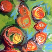 Rose orange