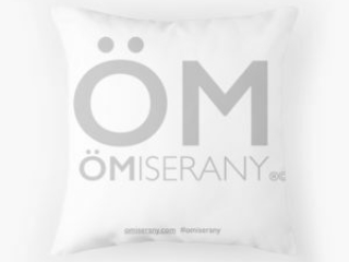 #9_version 2017_coussin-om-logo-omiserany_