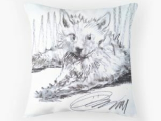 coussin_titefacede-zaf-omiserany_